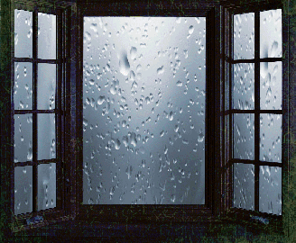 face-and-window.gif.74867bd64f451fd4768bdfc635a9d07a.gif