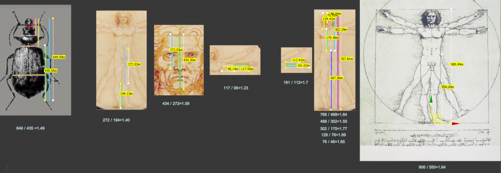 Phi_01.thumb.png.cc69f8c566fbce93666bd8d1dc6fba87.png