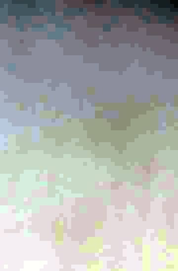 505559583_A2_8244(1).jpg.98e878e3f227fb8e9ac8adaac527dd95.jpg