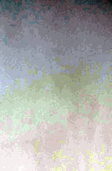 A1_8244.jpg.5a1108654102e2e0706710f8da07e8ca.jpg