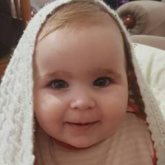 tomito153