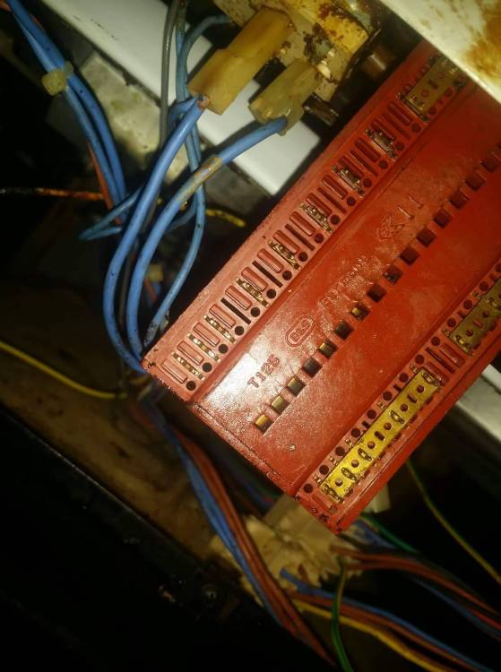received_346996402555485.jpeg