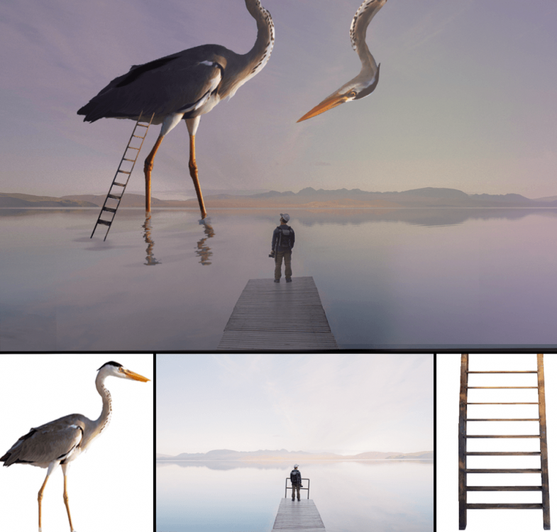 Untitled-1.thumb.png.ba3fd9686ab9c7819a6ad472ed03f1ed.png
