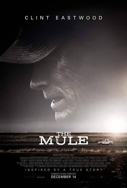 The mule.jpg