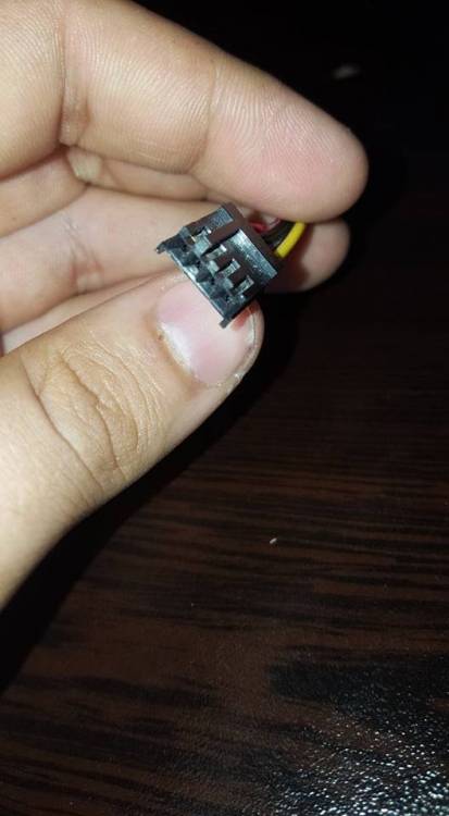 53665556_887116488286982_8052234171491287040_n.jpg