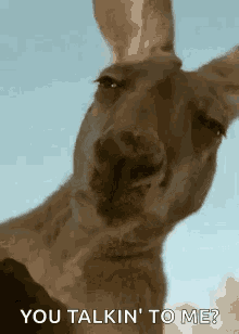 image.png.6885227685be9ed8085301d9d9422fef.png