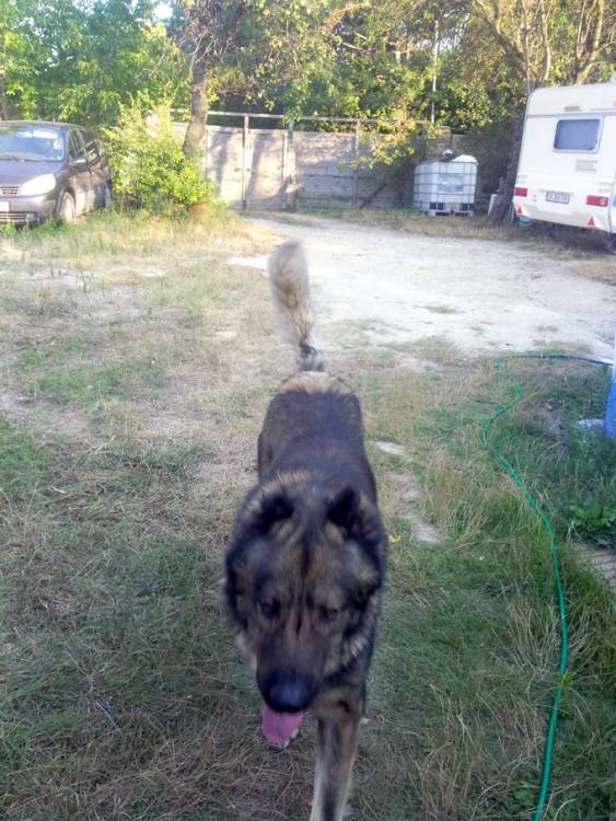 ZOKA4.thumb.jpg.072c05f1abdcb91324a417f7dca1619c.jpg