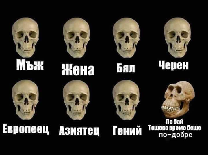 image.png.015200409947c91467a03ad2f80b38af.png