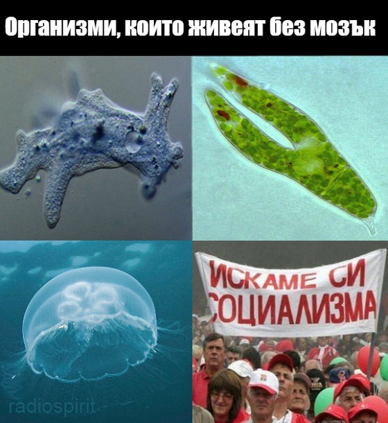 image.png.dcfe43dcaa71584f0868af1c11a9e3e9.png