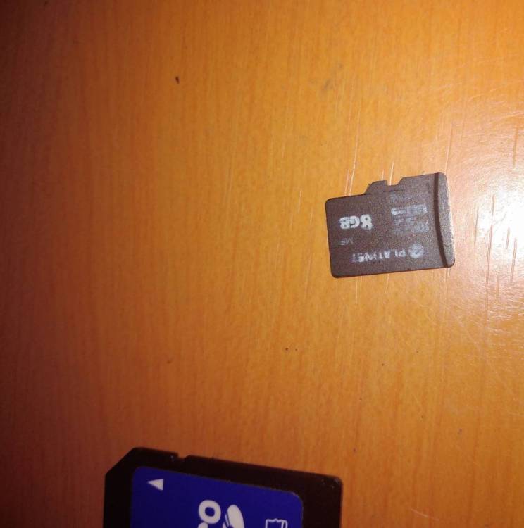 73092785_456913575172991_7924781042752290816_n.jpg