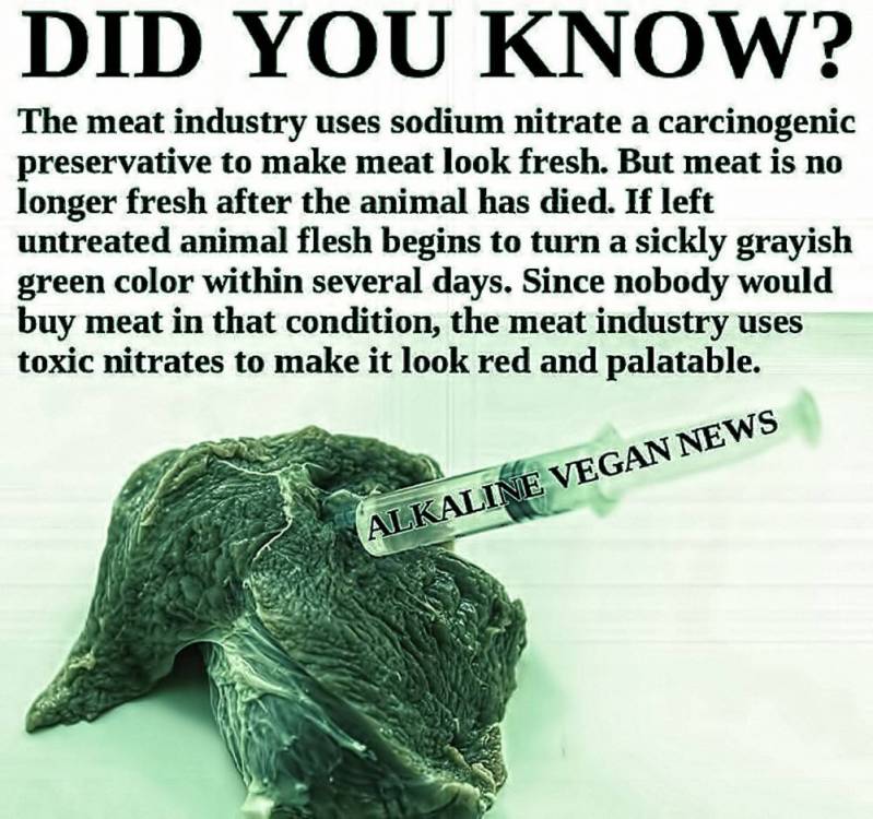Image result for animal flesh.jpg