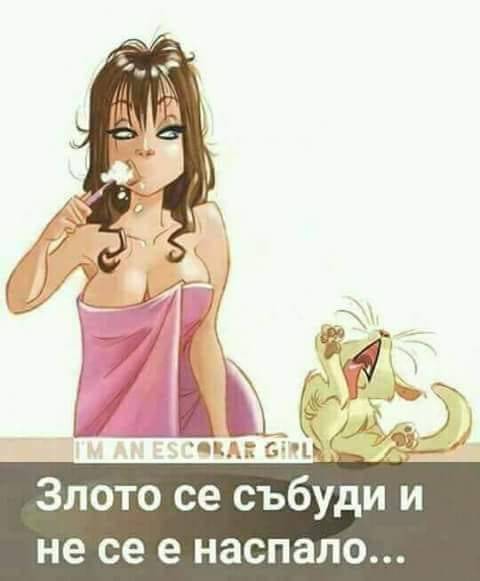 82797150_10216606865908741_9216754054892355584_n.jpg.860d0bc92810421cb31ebfd7909abdbd.jpg