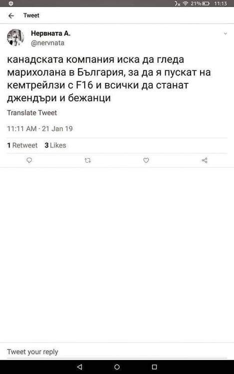 марихолана.jpg
