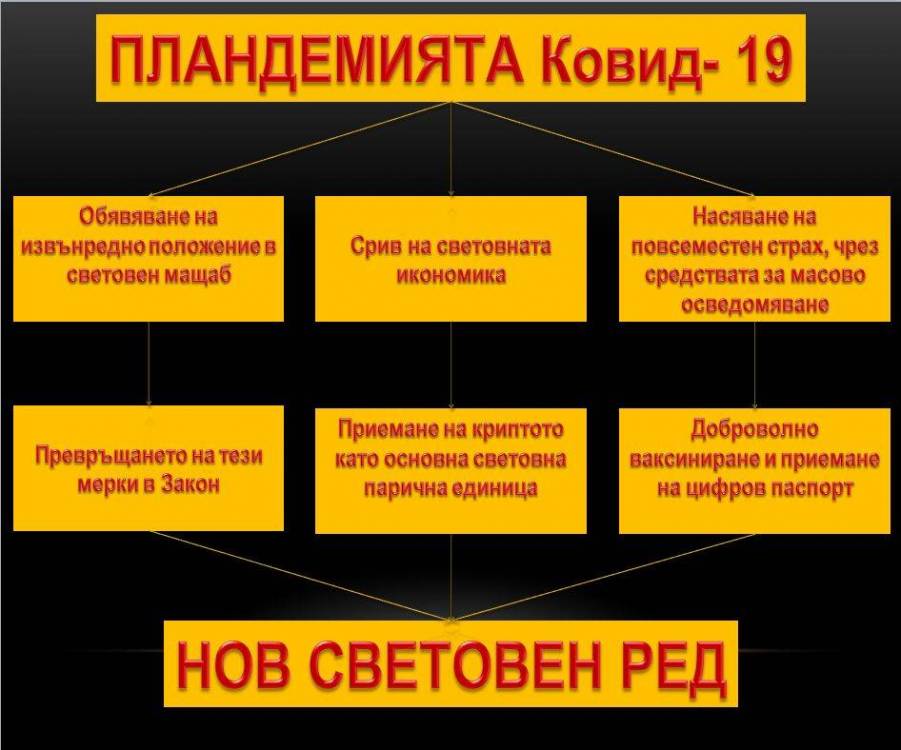 cov19.jpg