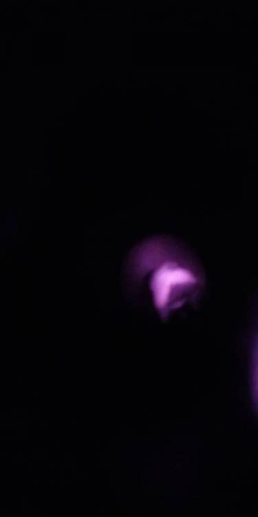 104116226_273582553995379_2846725760585892654_n.jpg