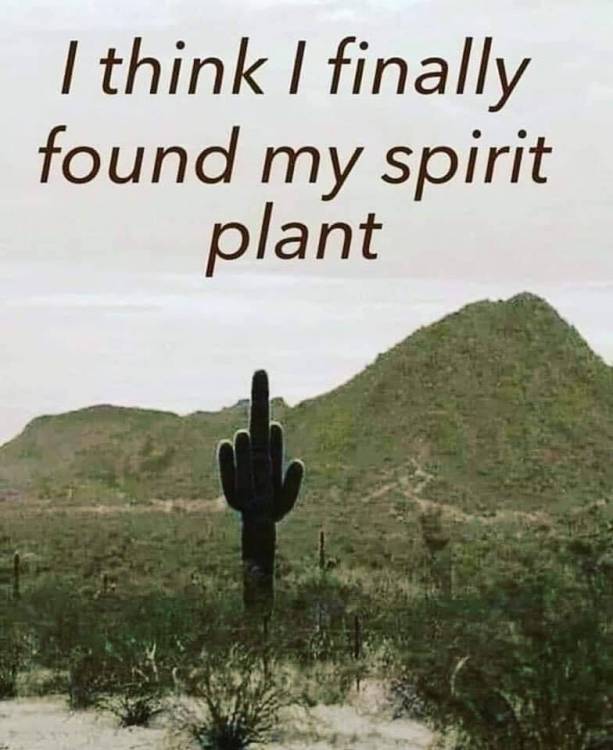 F827943E-05C7-4FB8-805C-C0813648B9FB.jpeg