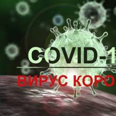 srbpro