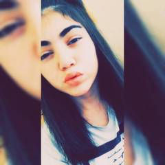 Petq 123