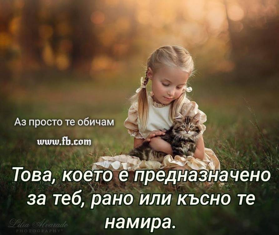 108017238_1701865176644350_7170621535360421741_o.thumb.jpg.9a1b3bcc8ae8b4324a1a22ae1bb38e07.jpg