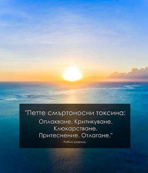 123768580_3823841754294999_7902723616990426777_n.jpg.00bb464a1864da0e05ef050c2c1835a6.jpg