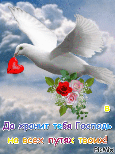 1759864474_.gif.7e4f9f82c6910118eaedeff5e88ab61a.gif