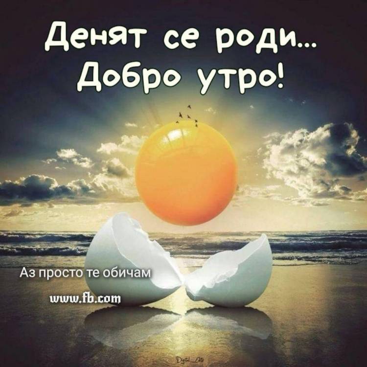 969.thumb.jpg.5bea0ea2568e9fa33e2d2a1c166757b5.jpg