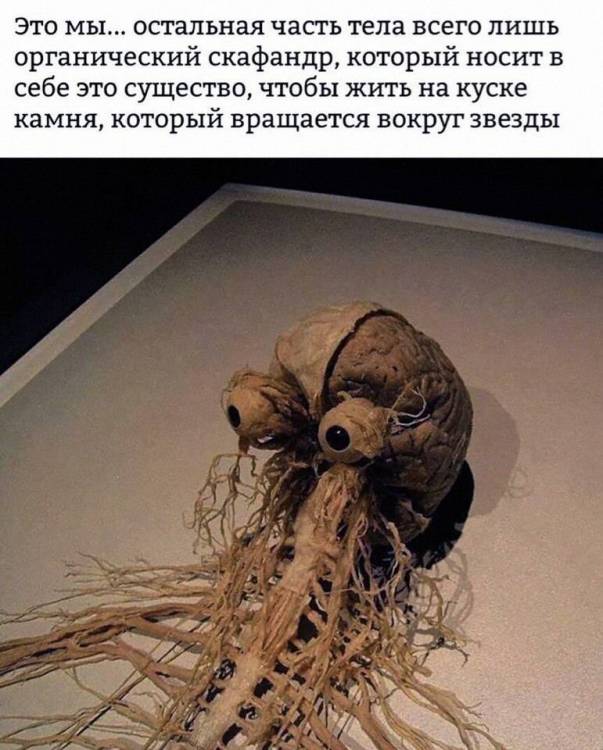 ONpFlYYSuzw.jpg