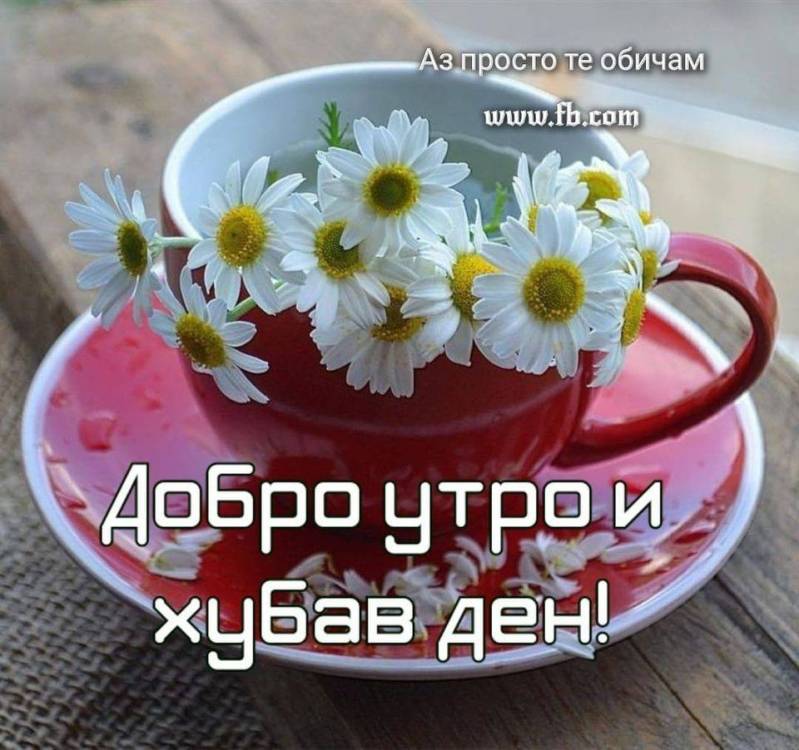 107394523_1696369033860631_5975779759421589395_o.thumb.jpg.cb9da170474a6bebd20a2fac9a25aafd.jpg