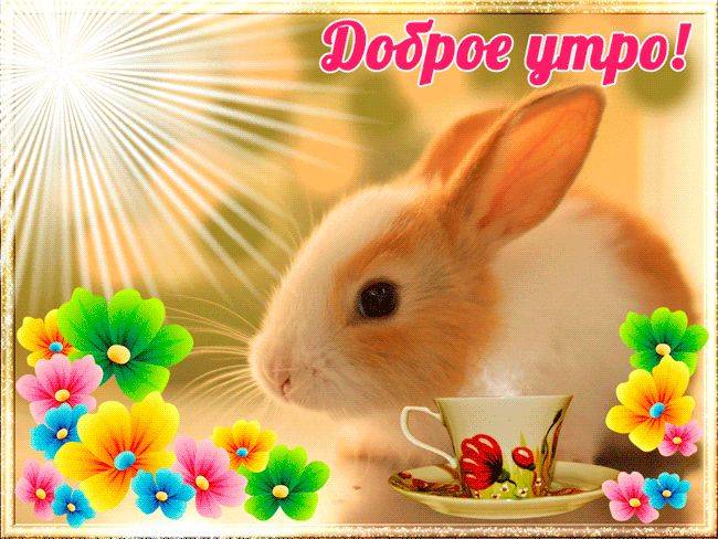 dobroe-utro-68-gap.jpg.0209baf9de40d8a65e3e0a03456a961e.jpg