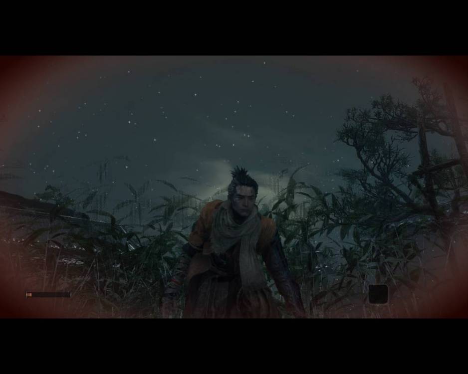 sekiro2.jpg