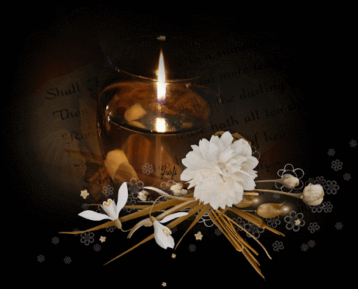 unnamed.gif.b53e5a79add6346e3b1de1ccba98284f.gif