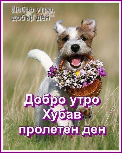 94691629_2905882862866523_4966837426774343680_n.jpg.694a2c88bf711f6084a6930b5270401d.jpg
