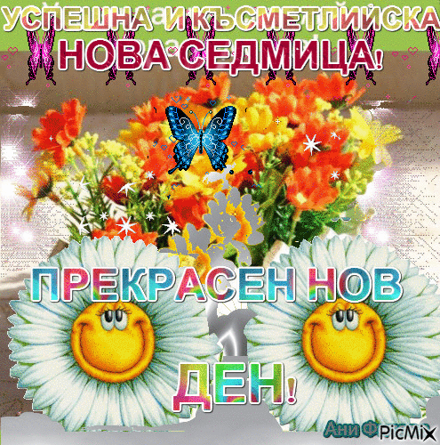 4454102_ba258.gif.c1d54559a2c6093d8162d01a4627a78e.gif