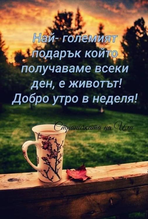 45a3d0967ca94a6bc9714e5b6ca25fea1574570392.thumb.jpg.4114f9df64948eb7ea49f7c0859c09b7.jpg