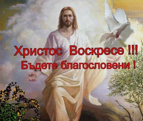 534095721_!.jpg.1491bef62e337e8ed34d1b4f347d8bdc.jpg