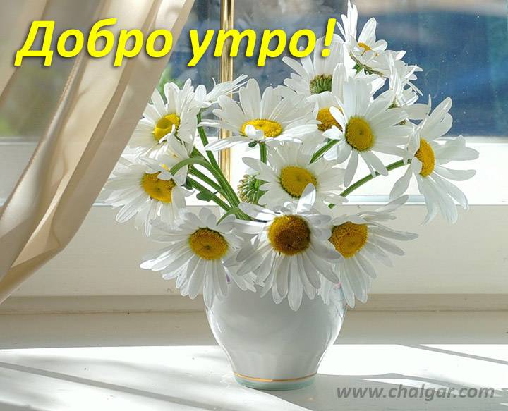 dobro-utro.jpg.9aecc17f80c8b55541863c8cf7b162b9.jpg