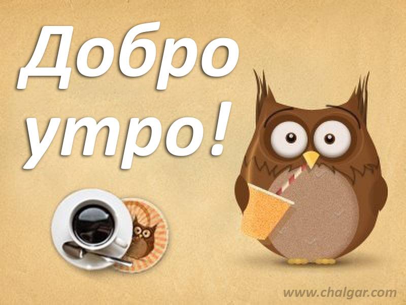 dobro-utro3.jpg.f2ef4fc0115c812159c0a752267bb675.jpg