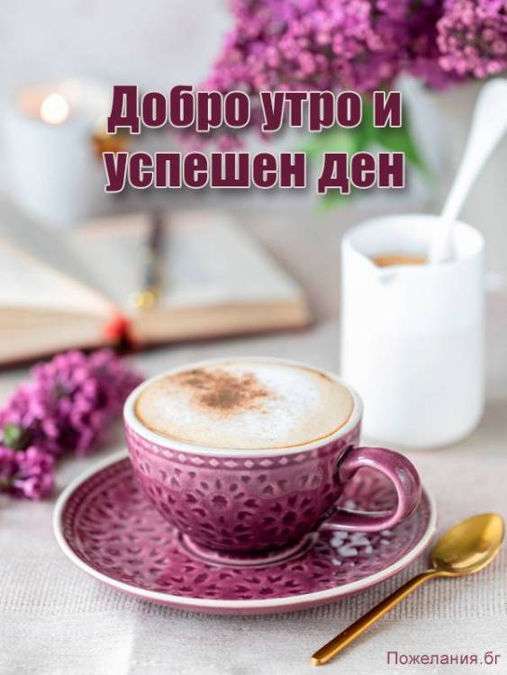 dobroutro4.thumb.jpg.585001a5b0a379b7eea23b21d76f7ace.jpg