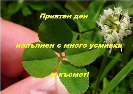 unnamed.jpg.c3709a9b265dba8dc05edd94b5137b76.jpg