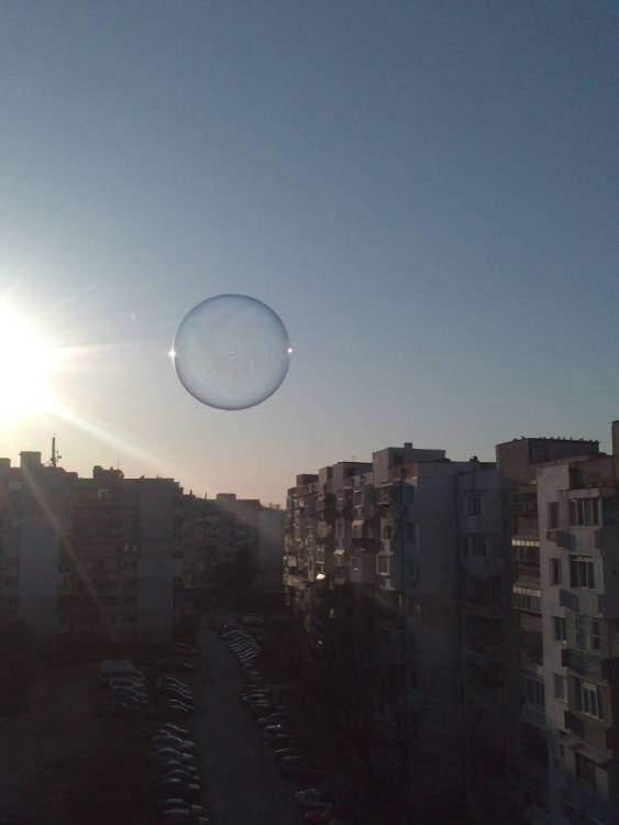 DSC_0027калдата.jpg