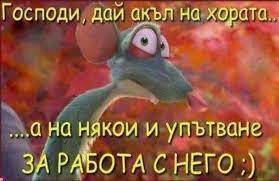 image.jpeg.d2529d8023271c1e45a90df5b474df39.jpeg