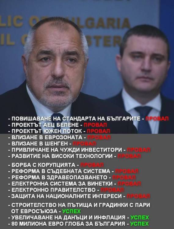 BOKO CVETARKATAED.jpg