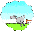 ap_4_ovca.gif.892ec897adca5fbe814c6d32daef3458.gif