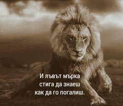 image.jpeg.0483a37a4bccd9cbc6d4957f5bd325d3.jpeg