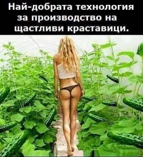 media.jpg.c4bc01fb74eca320765d9b3e47d06c8a.jpg