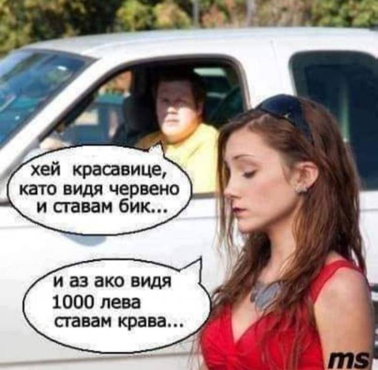 media.thumb.jpg.42549225be82584e6957fa862b3e7bb1.jpg