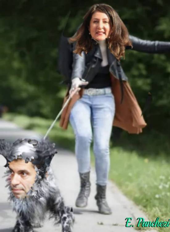 275044730_442300327592753_3795234503302521732_n.jpg