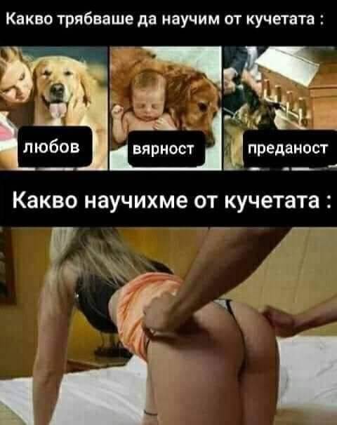 medhhhhia.jpg.456b1fe6d741dac296190a2a07df68b4.jpg