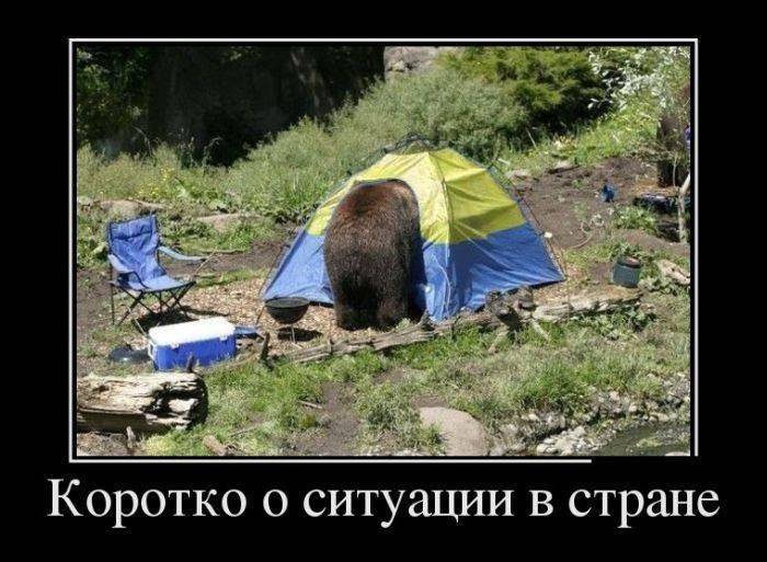 16680263.jpg.7babca5495e57b956c1003487c65f993.jpg