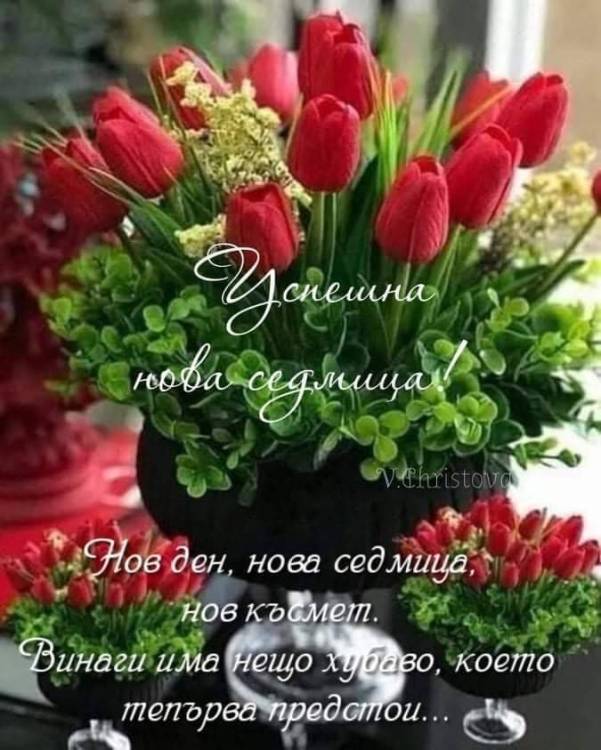 FB_IMG_1649141328919.jpg